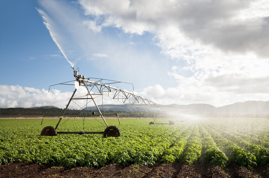 crops being watered